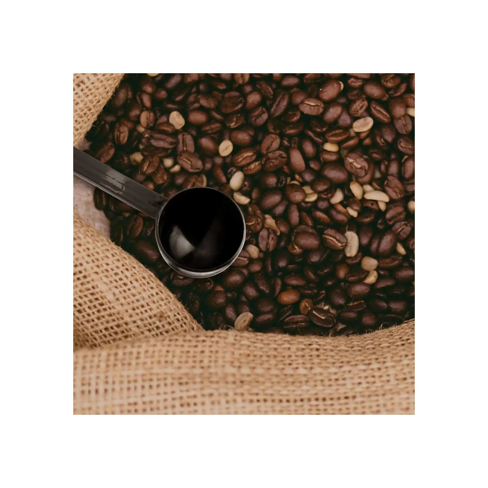 Order Coffee Scoop & Tamper - 2 in 1 Multifunctional Coffee Tamper with 10g Measuring Spoon, Barista Coffee Tamping Tool for Coffee Bean Pressing and Grinding for LE 165.00 at Coffee & Cream, All your coffee needs in one place. Shop Coffee, Beans, Ground