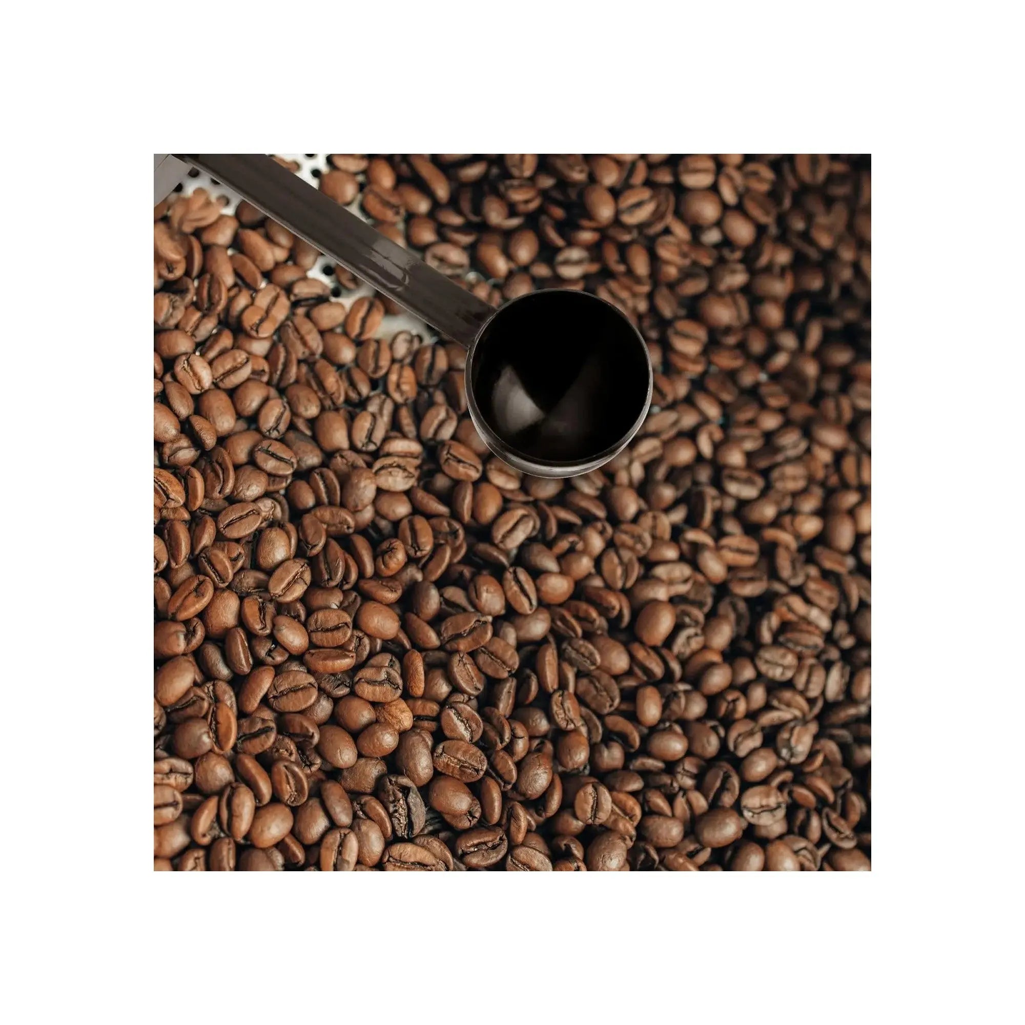 Order Coffee Scoop & Tamper - 2 in 1 Multifunctional Coffee Tamper with 10g Measuring Spoon, Barista Coffee Tamping Tool for Coffee Bean Pressing and Grinding for LE 165.00 at Coffee & Cream, All your coffee needs in one place. Shop Coffee, Beans, Ground