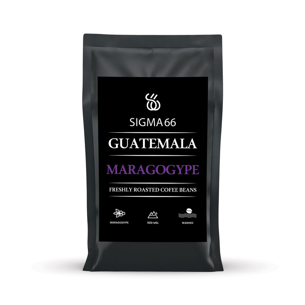 Sigma 66 - Guatemala Maragogype Whole Coffee Beans - 200g